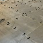 عیدی پناهی زاده