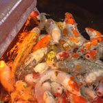 رستوران ماهیگ