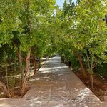 بوستان خانواده فرهنگ