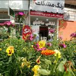 فروشگاه رنگ پویا