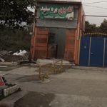 کله پزی بره سفید 