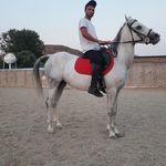 باشگاه سوارکاری سلام