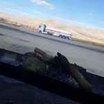 سالن غذاخوری میثم