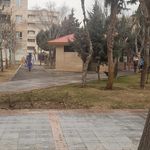 سرویس بهداشتی عمومی