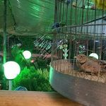 جگرکی بابا حیدر