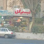 تبسم گل