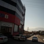 تولیکا
