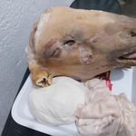 کله پزی پاک..مهدی قره بقلو