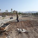 شهرک ویلایی انوشه (باغشهر )