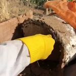 موادغذایی طاها ، عسل و زعفران