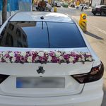 گل فروشی شقایق