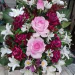 گل فروشی شقایق