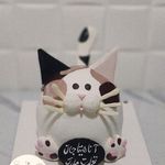 کیک و دسر خانگی لوین کیک