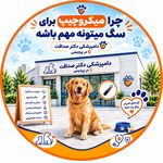 درمانگاه دامپزشکی دکتر صداقت
