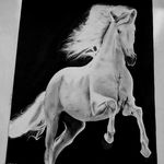 طراحی چهره سیاه قلم.شقایق ابراهیمی