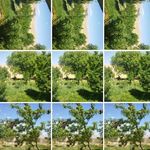 قاسم تاجمیری