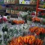 بازار گل محلاتی