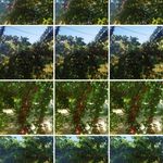 قاسم تاجمیری