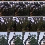 قاسم تاجمیری