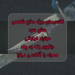 آکادمی مبارز (شعبه سید خندان)