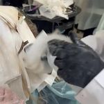 اموزشگاه و خدمات زیبایی نسرین شاه حسینی