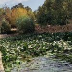 پست بانک شعبه روستای سراب چنگایی