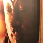 ماساژ تنکابن محدوده رامسر تا سلمانشهر