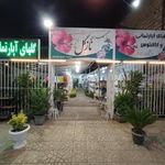 سیرجان نازگل کاکتوس