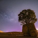 مروارید سبز