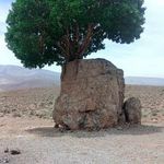 مروارید سبز