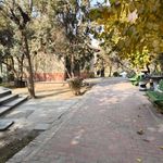 سرویس بهداشتی
