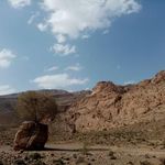 مروارید سبز