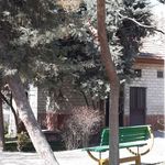 سرویس بهداشتی