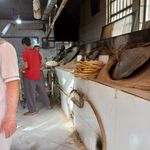 مجتمع نان برادران جوان