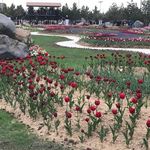 مجتمع تفریحی توریستی چی چست