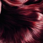 سالن بانوی شهر