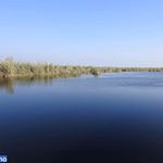 تالاب هور مزرعه