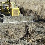 تالاب هور مزرعه