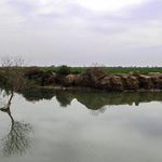 تالاب هور مزرعه