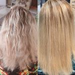 زهرا بختیاری