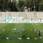 مجموعه  فرهنگی ورزشی پاس قوامین