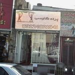 قصر پرده متین و طاها
