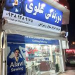 دوزندگی علوی