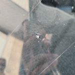 کارشناس تشخیص رنگ دیتلینگ و ترمیم شیشه چشم عقاب شکرالهی