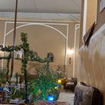 اقامتگاه ارکیده