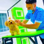 آرایشگاه حیوانات خانگی سرمدی