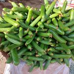 میوه فروشی محمد حسنی