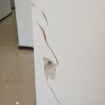 نقاشی تخصصی  ساختمان گلزاده