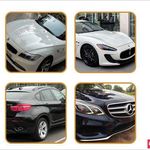 فست فود طهران تو