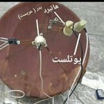 امید نیکبخت